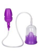 30-12418-X-PURPLE