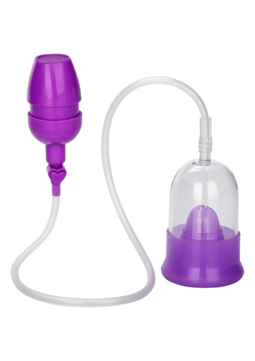 30-12418-X-PURPLE
