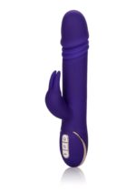 30-12440-X-PURPLE
