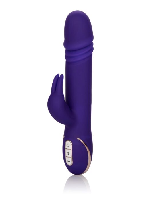 30-12440-X-PURPLE