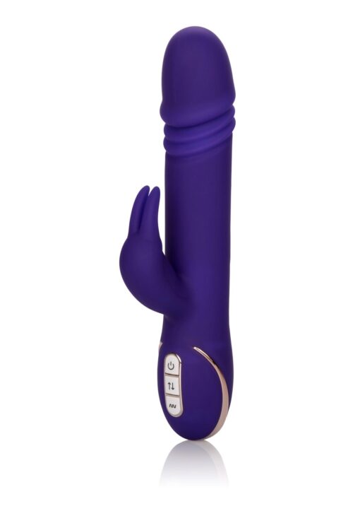 30-12440-X-PURPLE