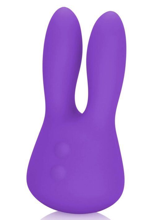 30-13095-X-PURPLE