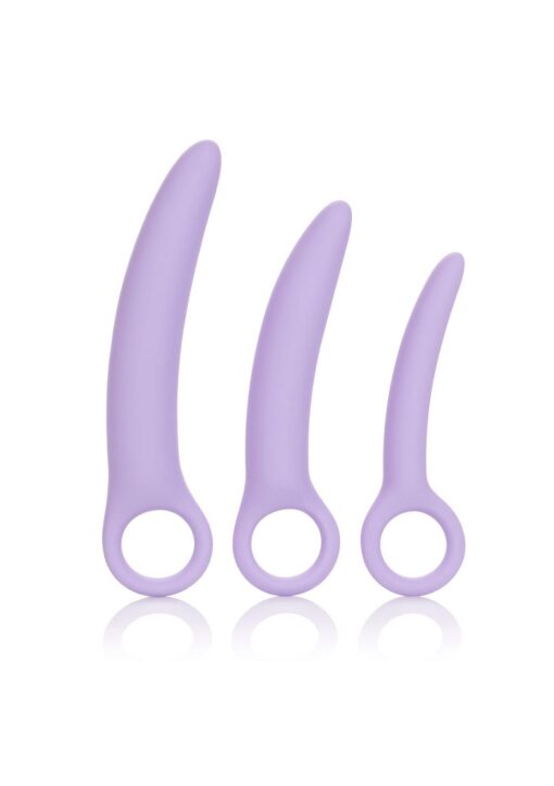 30-13547-X-PURPLE