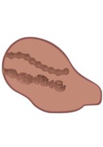 Big ass banger vibr. brown skin tone - obrazek 5