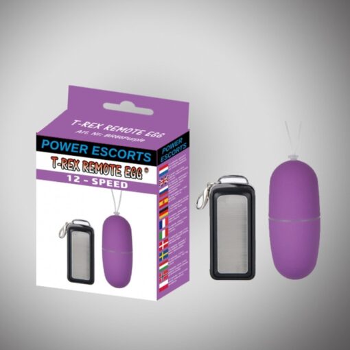20-BR66-PURPLE