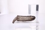 Big tom black  big size penis extender 11,5 cm - obrazek 3