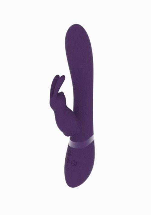 36-VIVE042PUR