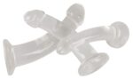 Crystal clear anal training se - obrazek 3