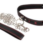 Obroża z prowadzeniem – klasyczna – obroża z paskiem