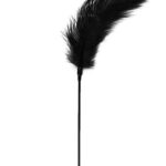 Easy Toys Feather Tickler piórko