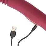 Double-sided thrusting vibrator - obrazek 9