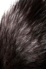 Silver anal plug with a fox tail - obrazek 7