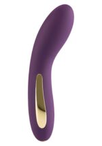 30-10231-X-PURPLE