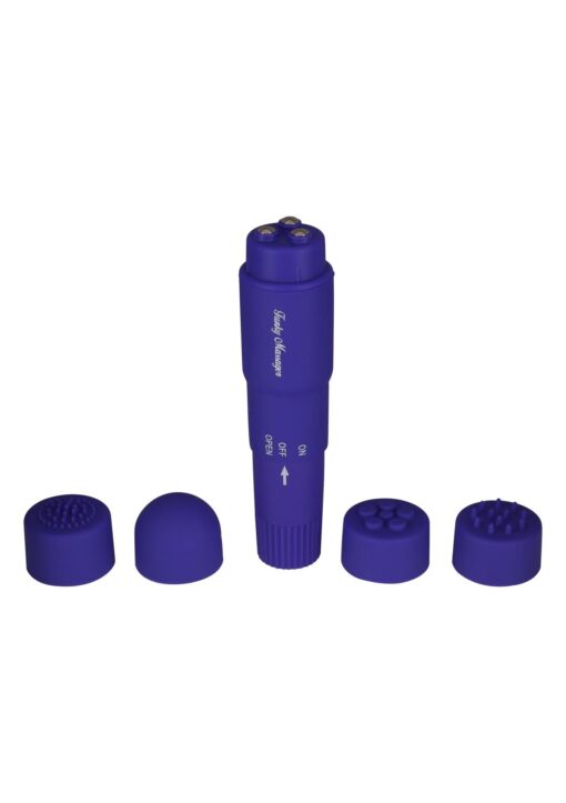 30-10407-X-PURPLE