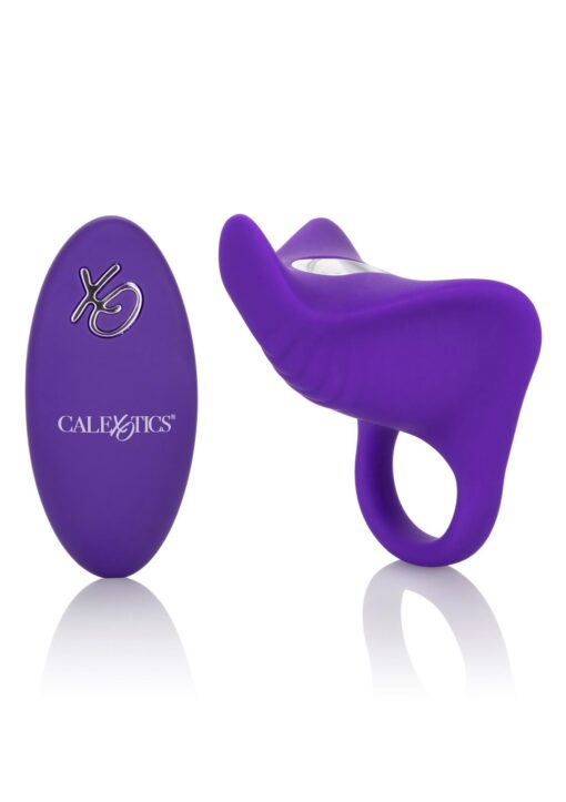 30-12069-X-PURPLE