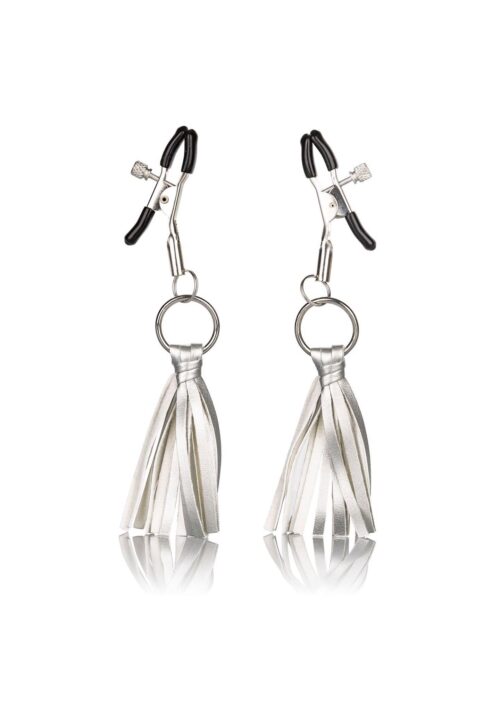 30-12956-X-SILVER