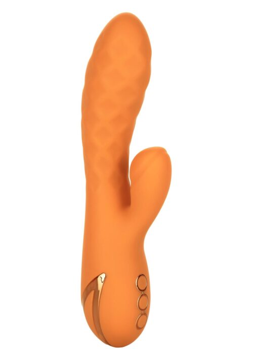 30-13448-X-ORANGE