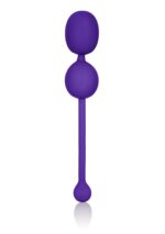 30-13473-X-PURPLE