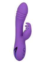 30-14351-X-PURPLE
