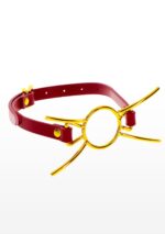 30-17173-X-RED
