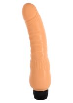 30-25079-X-SKIN
