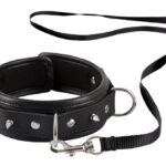 Obroża z prowadzeniem