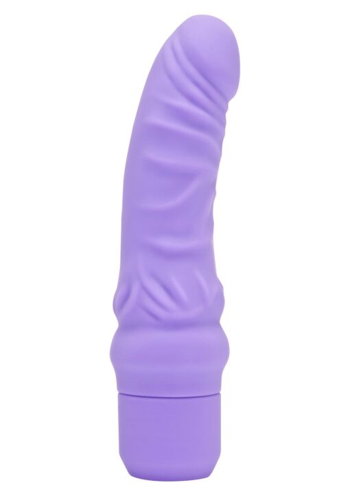 30-10155-X-PURPLE
