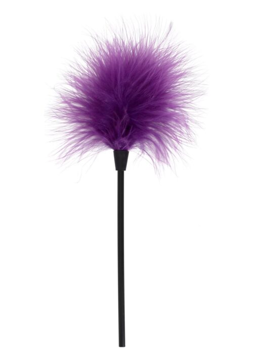 30-10305-X-PURPLE