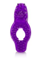 30-12739-X-PURPLE