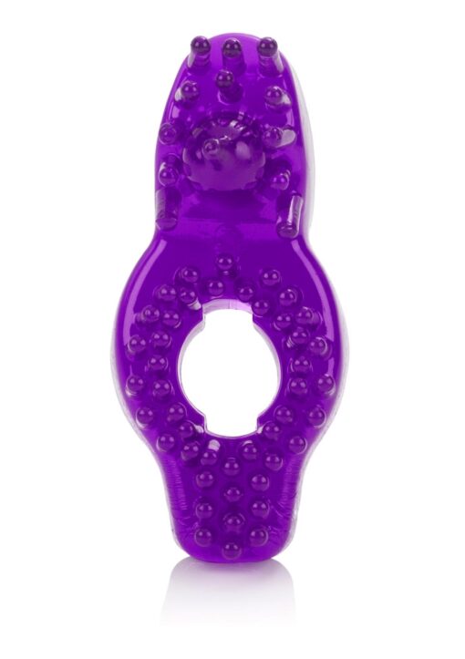 30-12739-X-PURPLE