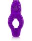 30-12739-X-PURPLE