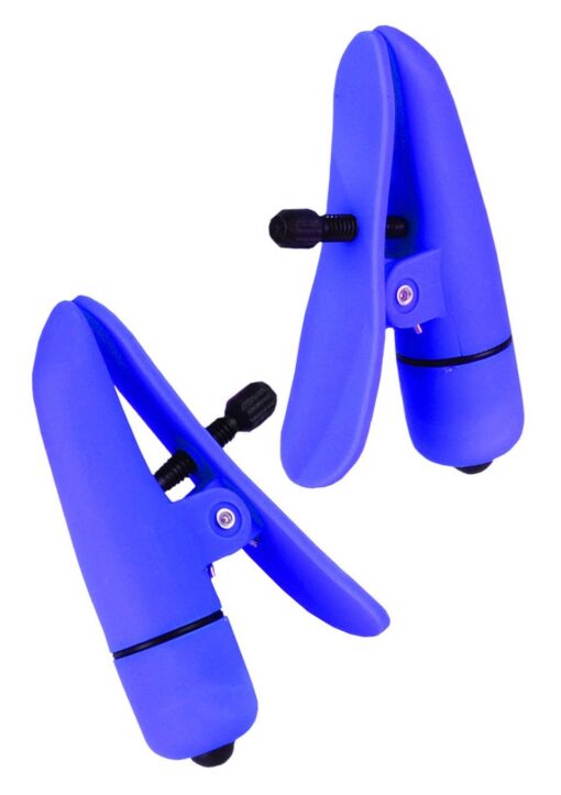 30-12921-X-PURPLE