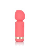 30-13801-X-PINK