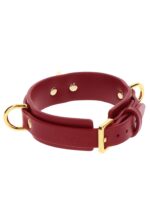 Obroża D-Ring Deluxe – czerwona - obrazek 4