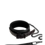 Obroża z smyczą Blaze – fioletowa