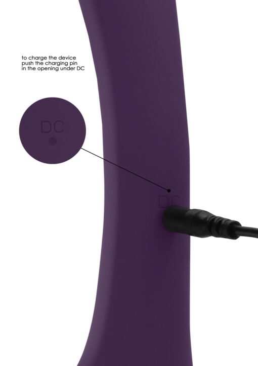 Senca - purple - obrazek 2