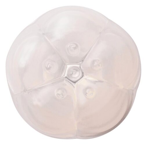 Iroha Petit Plum – mini masażer - obrazek 5