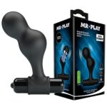 BI-040133-MR