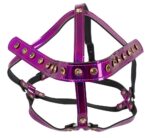 Uprząż głowy – head harness - obrazek 2