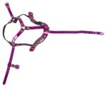 Uprząż głowy – head harness - obrazek 3