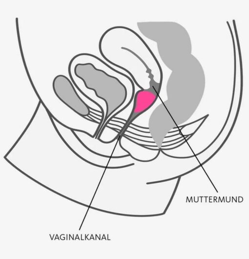 Kubeczek menstruacyjny Fun Cup A – turkusowy - obrazek 4