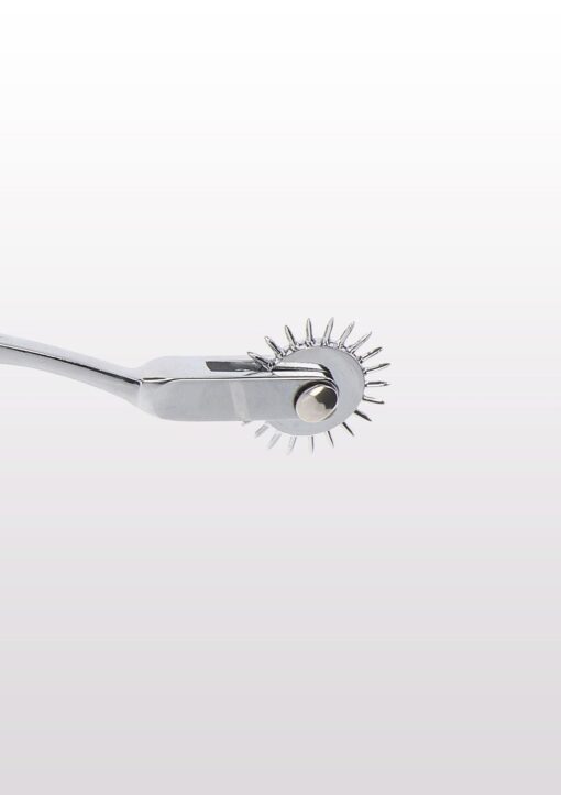 Warterberg wheel silver - obrazek 3