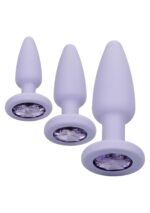 30-12016-X-PURPLE