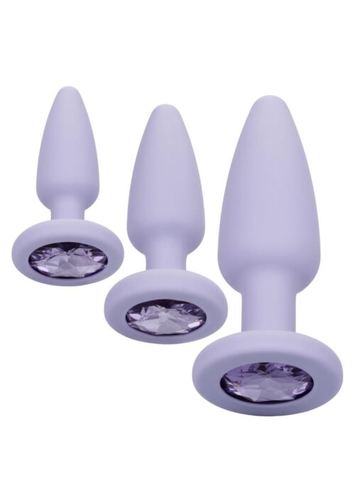 30-12016-X-PURPLE