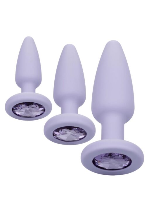 30-12016-X-PURPLE