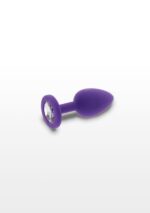 30-10573-X-PURPLE