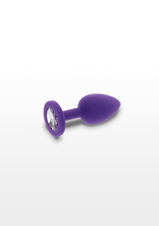 30-10573-X-PURPLE