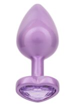 30-16517-X-PURPLE