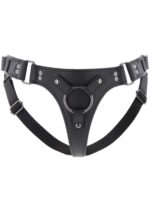 Classic strap-on - obrazek 4