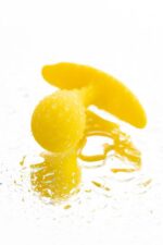 Todo anal plug blob - obrazek 7